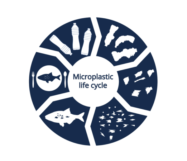 선진이 제안하는 미세플라스틱 대체 소재는?