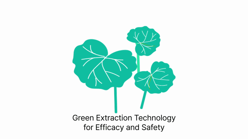 같은 식물, 다른 효능: 처방 차이를 만드는 그린 추출수&추출물